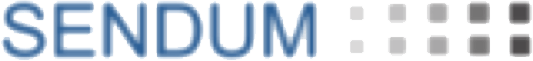 Sendum logo - automated mapping of physical and digital risk events